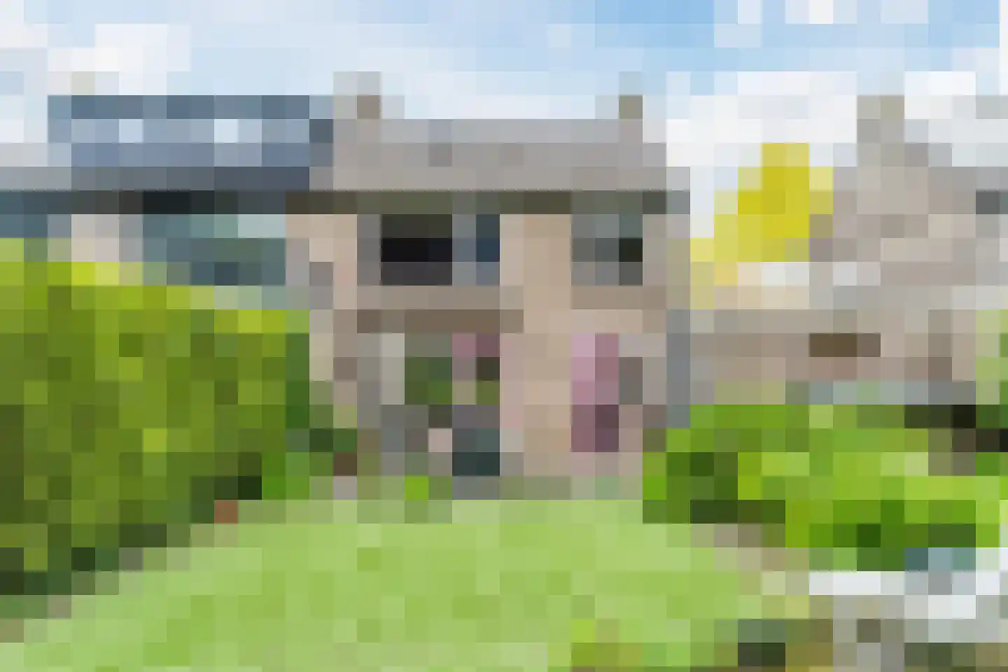 Emmalaan 39 Oss thumbnail 29