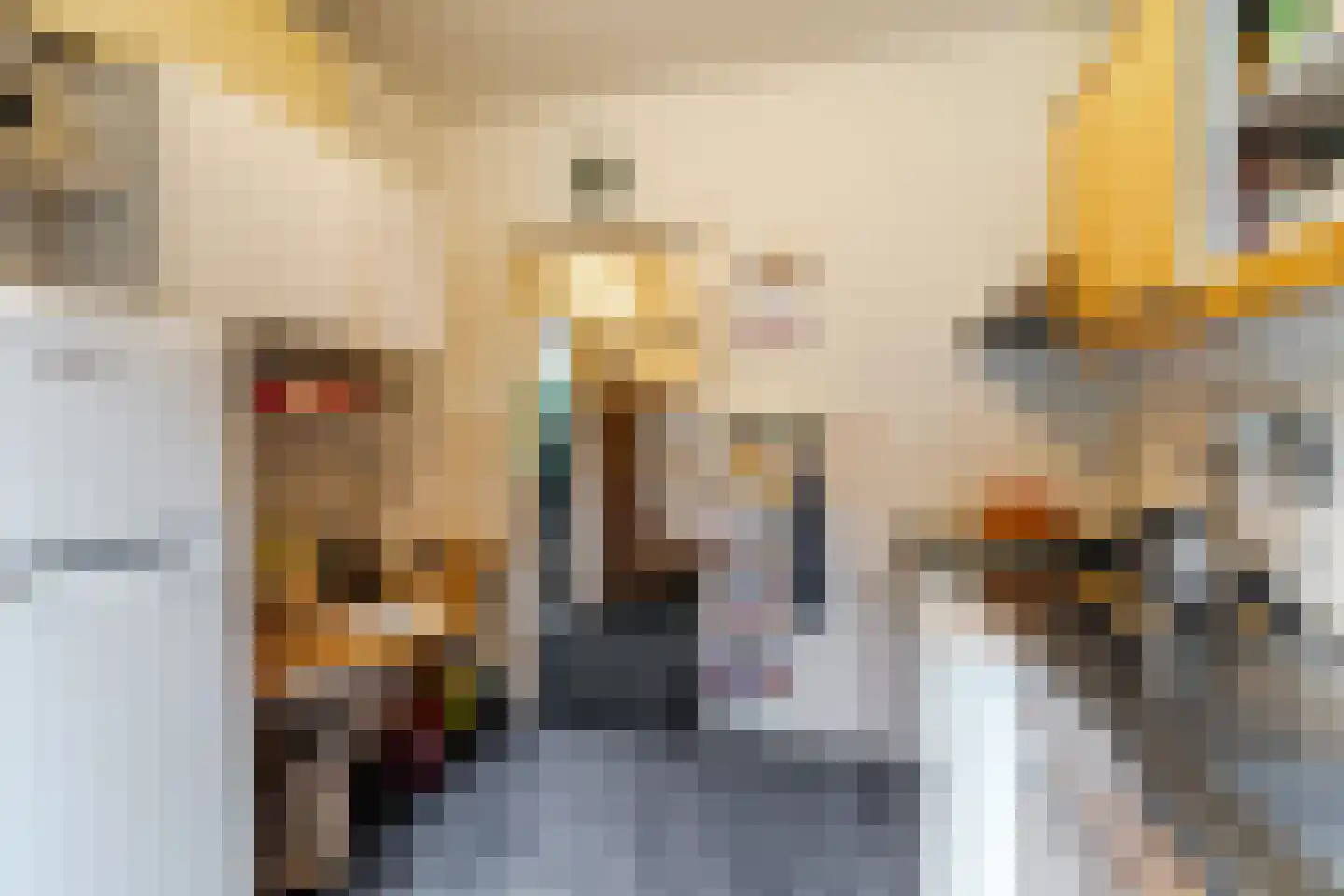Emmalaan 39 Oss thumbnail 9