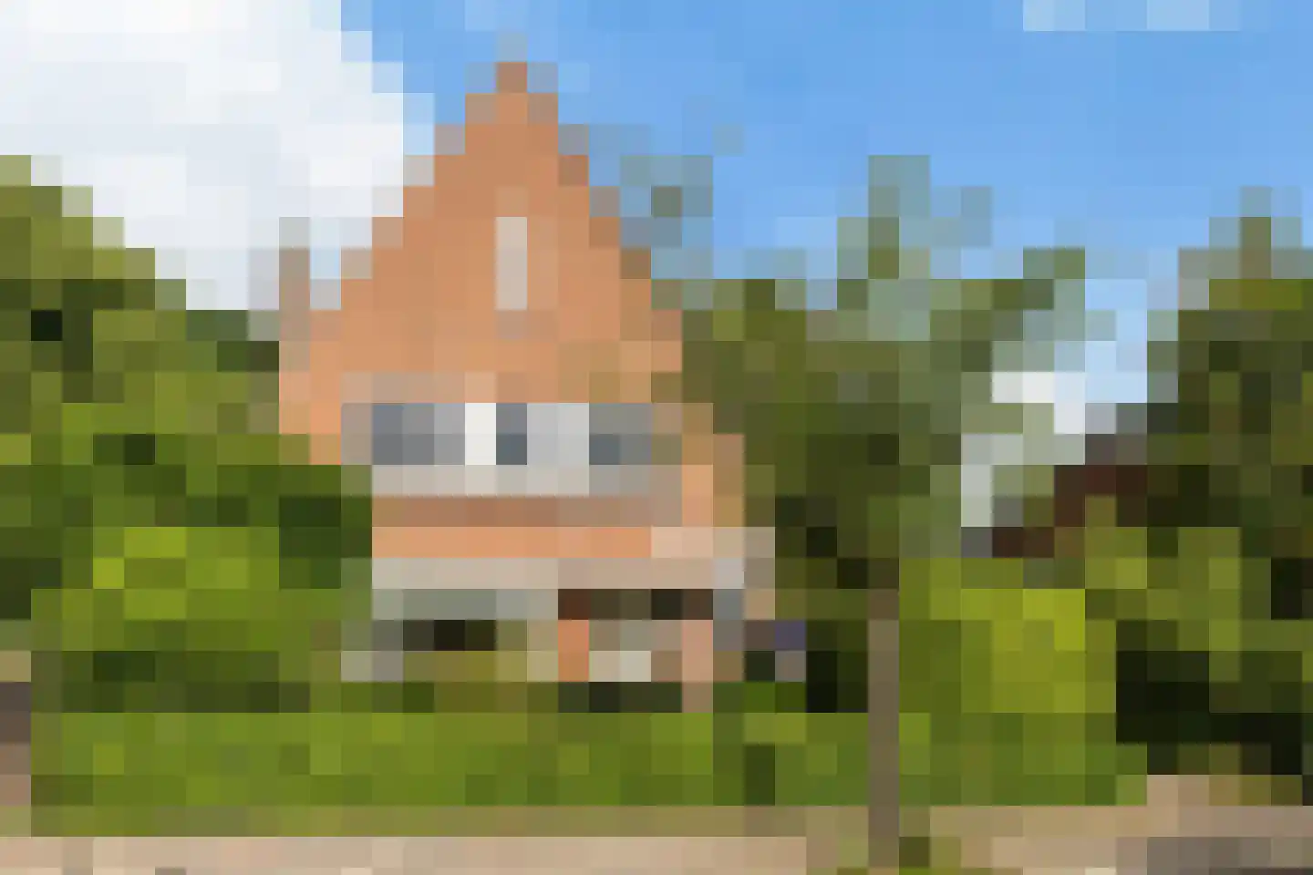 Emmalaan 4 in Soest
