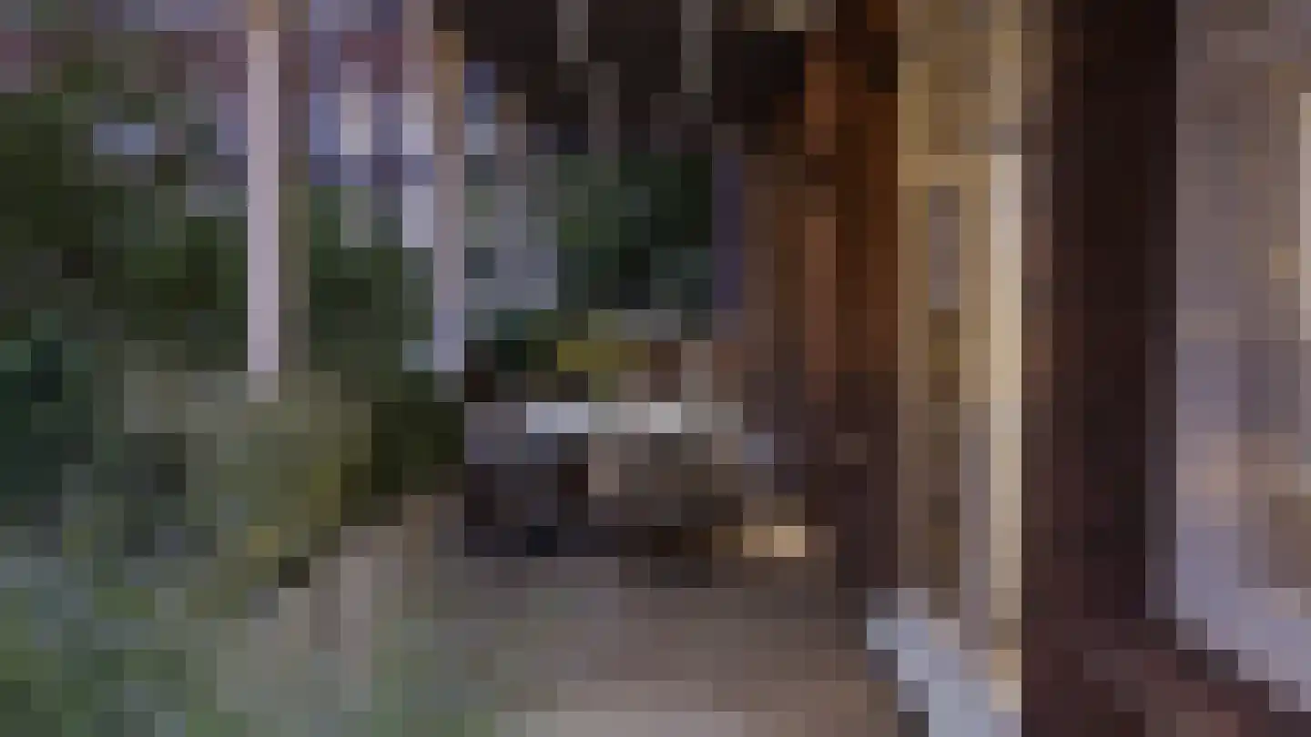 Emmalaan 4 B Amsterdam thumbnail 10