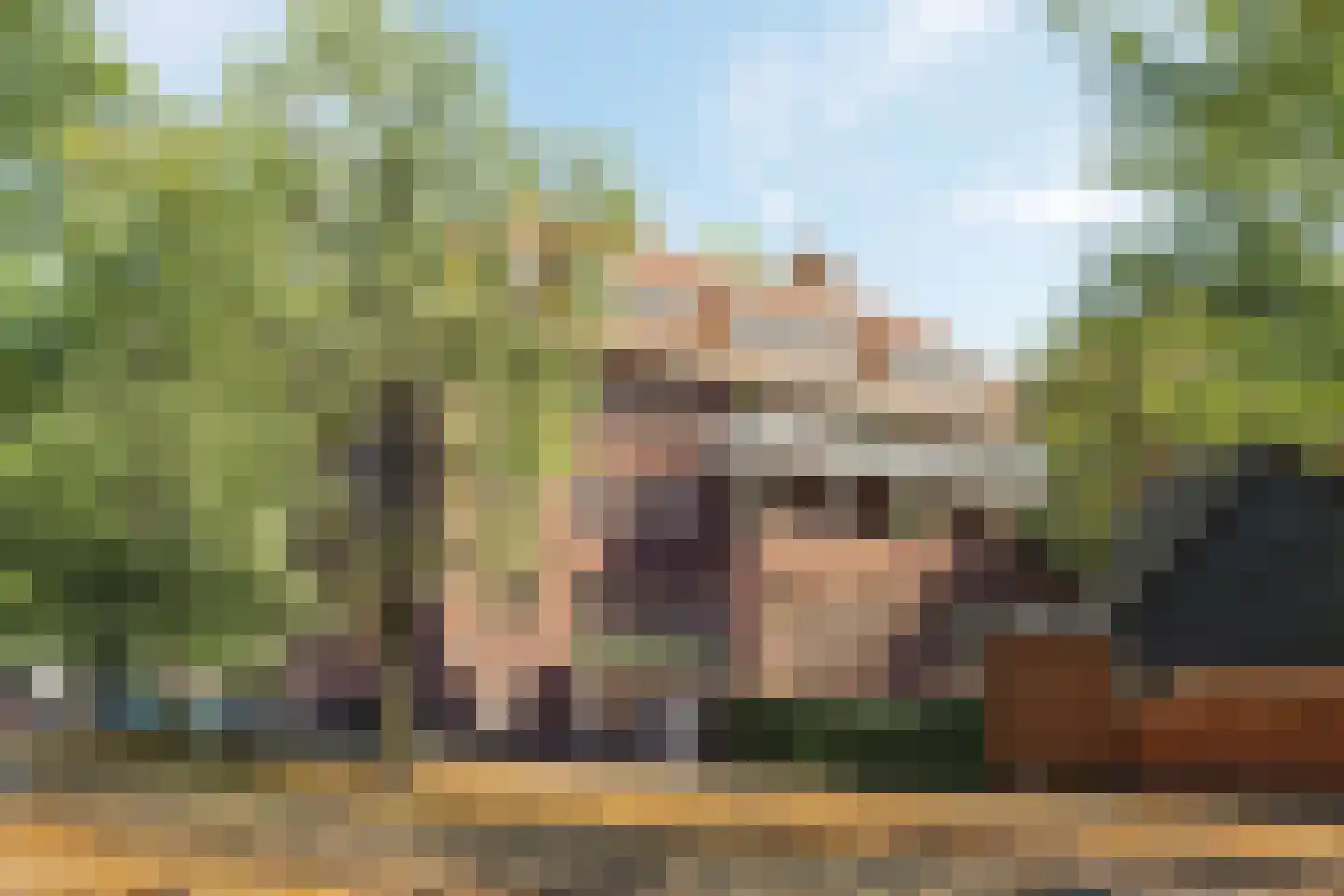 Emmalaan 4 C Amsterdam thumbnail 14
