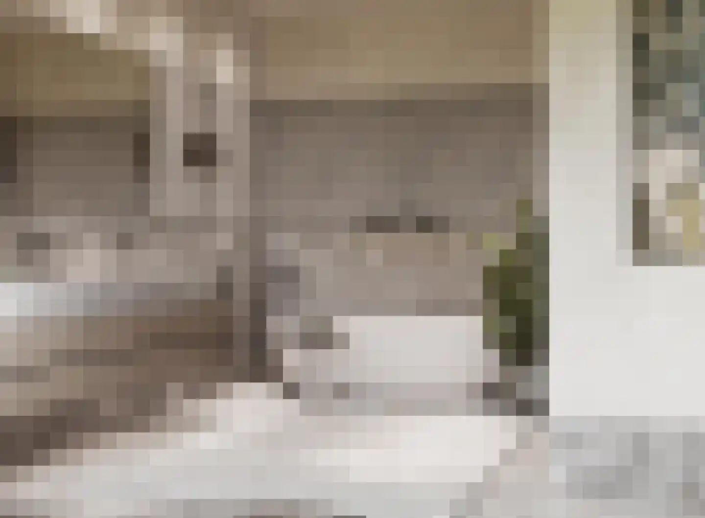 Emmalaan 4 D Amsterdam thumbnail 10