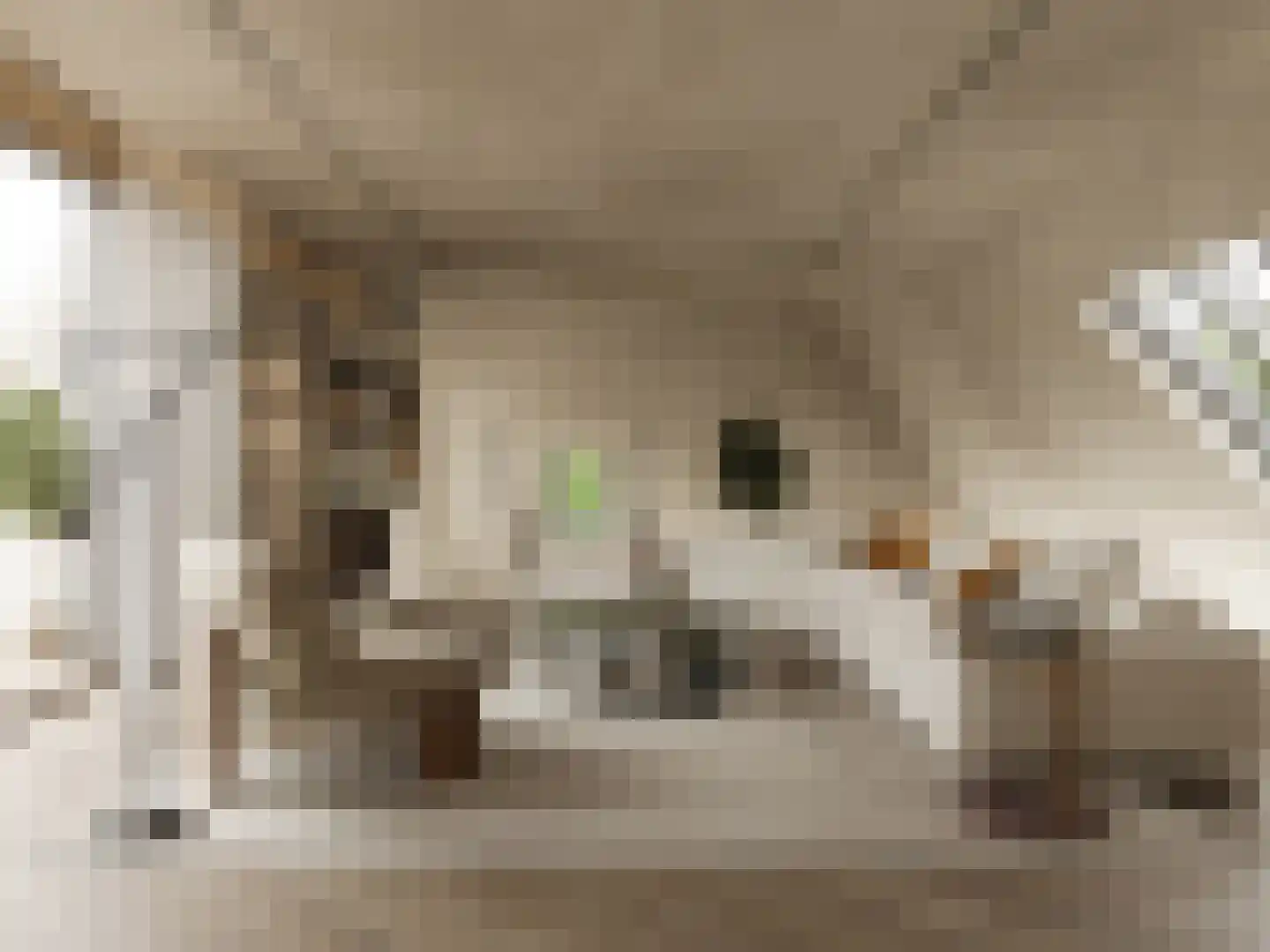 Emmalaan 4 D Amsterdam thumbnail 11