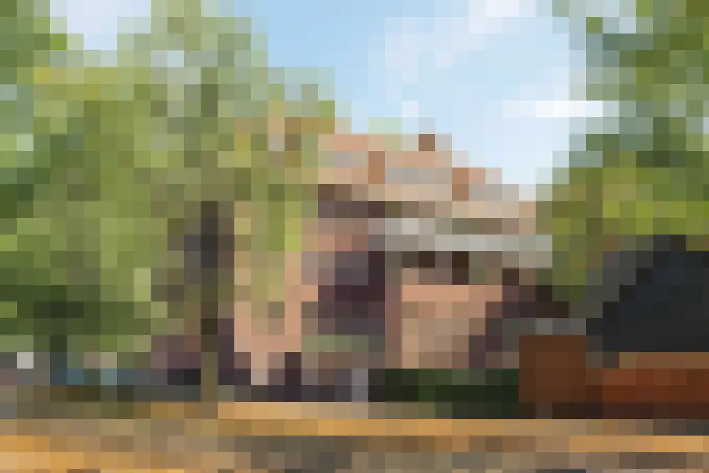 Emmalaan 4 D Amsterdam thumbnail 17