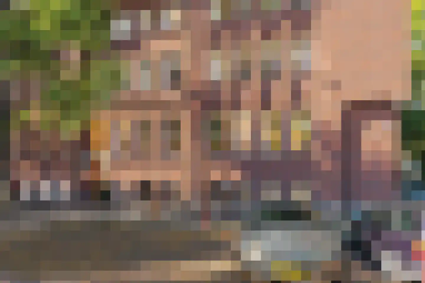 Emmalaan 4 D Amsterdam thumbnail 18