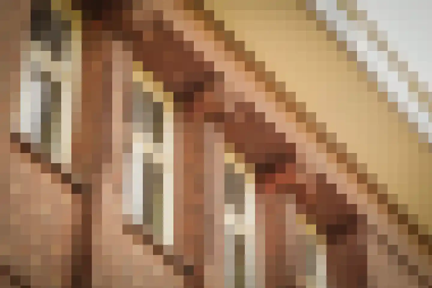 Emmalaan 4 D Amsterdam thumbnail 19