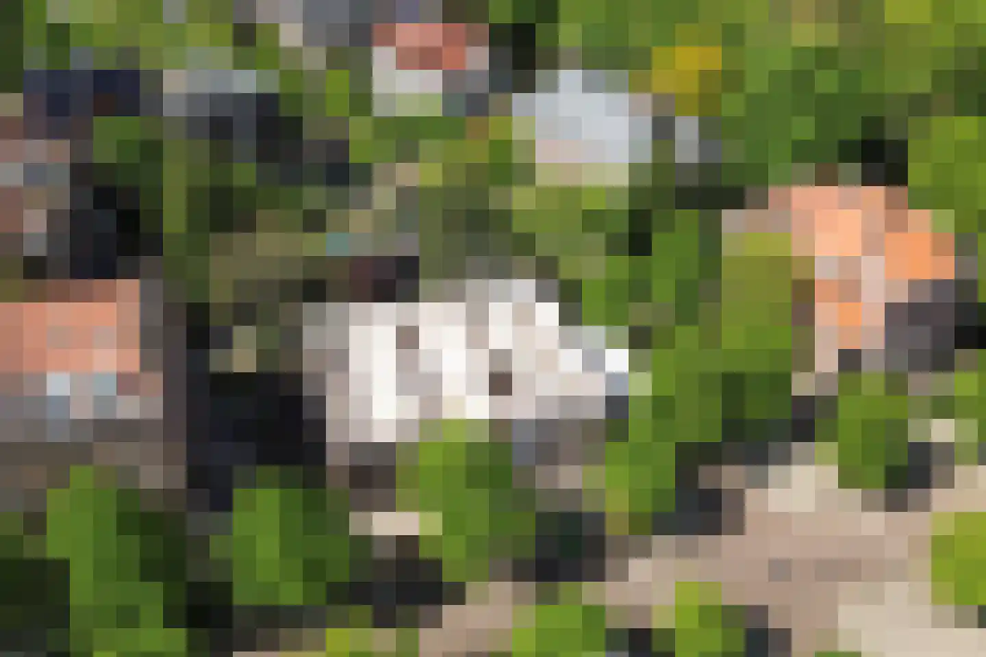 Emmalaan 4 D Amsterdam thumbnail 21