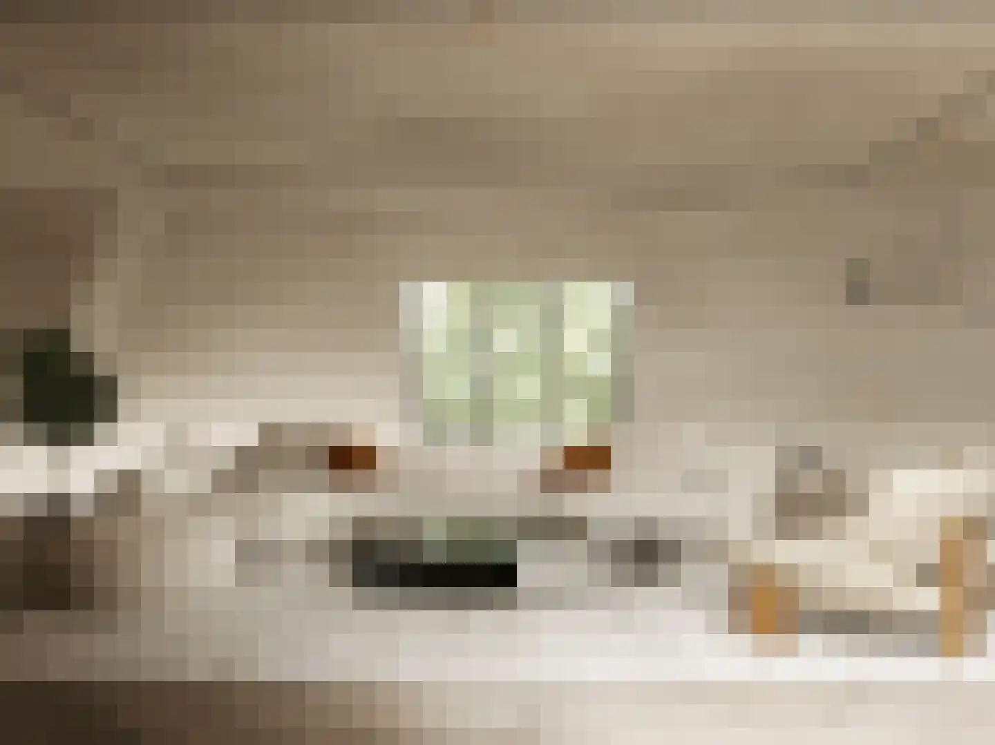 Emmalaan 4 D Amsterdam thumbnail 4