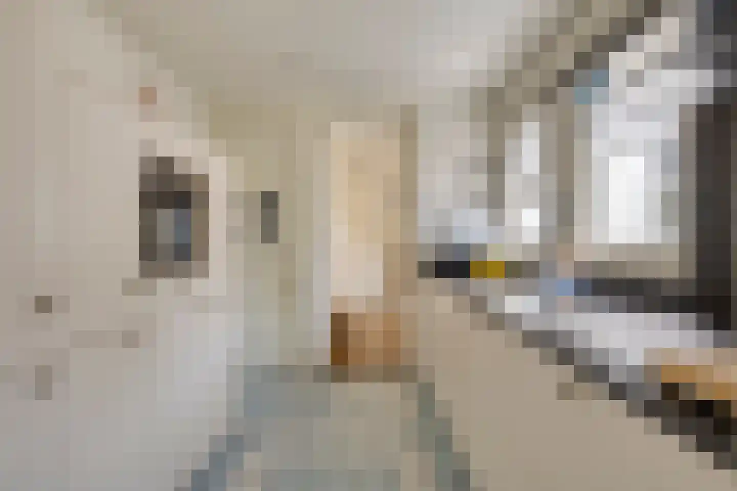 Emmalaan 4 Terneuzen thumbnail 15