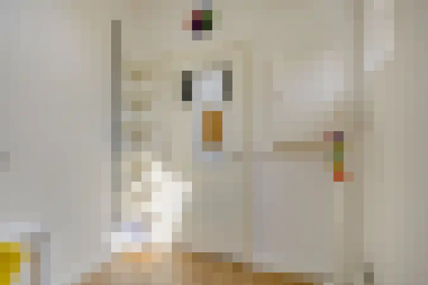 Emmalaan 4 Terneuzen thumbnail 18