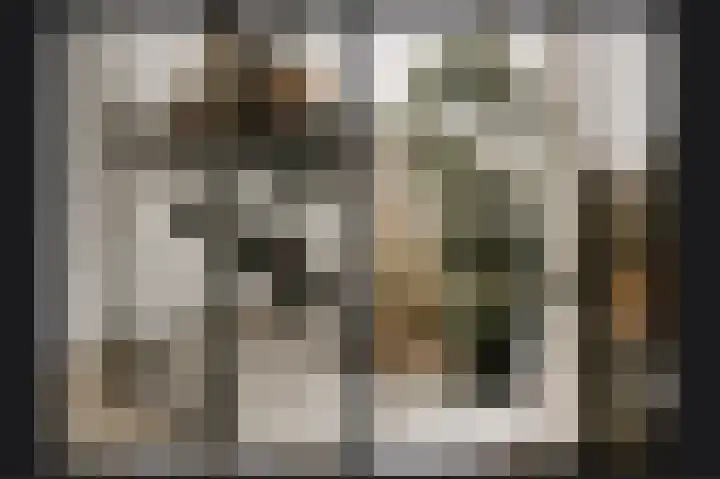 Emmalaan 42 Geldermalsen thumbnail 10