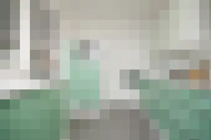 Emmalaan 42 Geldermalsen thumbnail 14