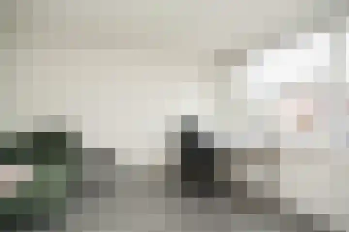 Emmalaan 42 Geldermalsen thumbnail 20