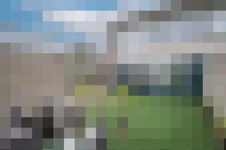 Emmalaan 42 Geldermalsen thumbnail 28