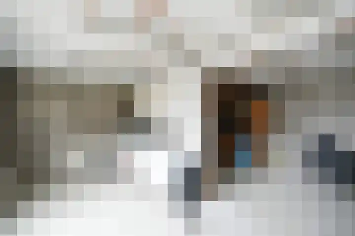 Emmalaan 42 Geldermalsen thumbnail 30