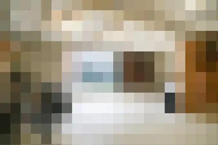 Emmalaan 42 Geldermalsen thumbnail 34