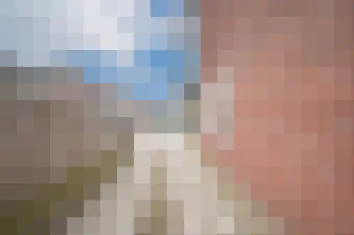 Emmalaan 42 Geldermalsen thumbnail 39