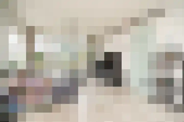 Emmalaan 42 Geldermalsen thumbnail 4