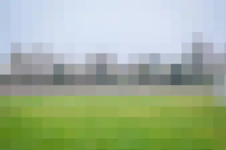 Emmalaan 42 Geldermalsen thumbnail 45