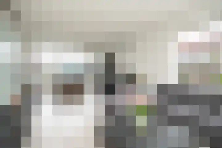 Emmalaan 42 Geldermalsen thumbnail 6