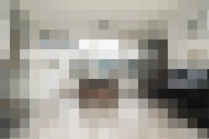 Emmalaan 42 Geldermalsen thumbnail 7