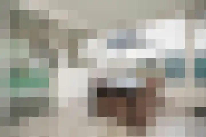 Emmalaan 42 Geldermalsen thumbnail 9