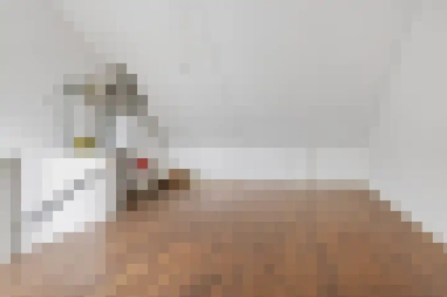 Emmalaan 42 Schijndel thumbnail 28