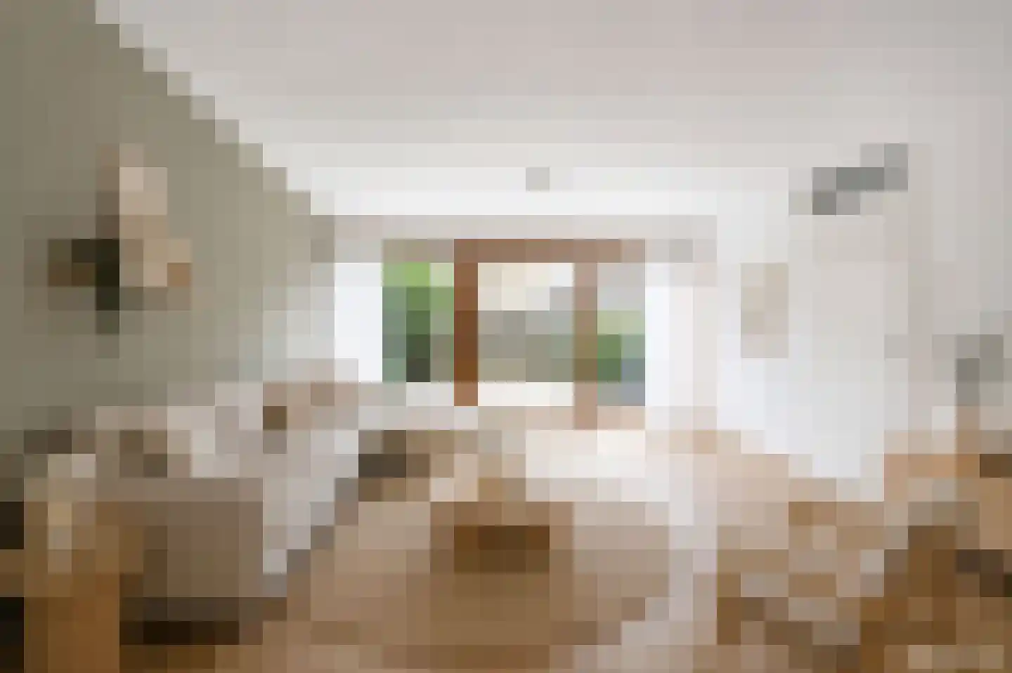 Emmalaan 42 Schijndel thumbnail 6