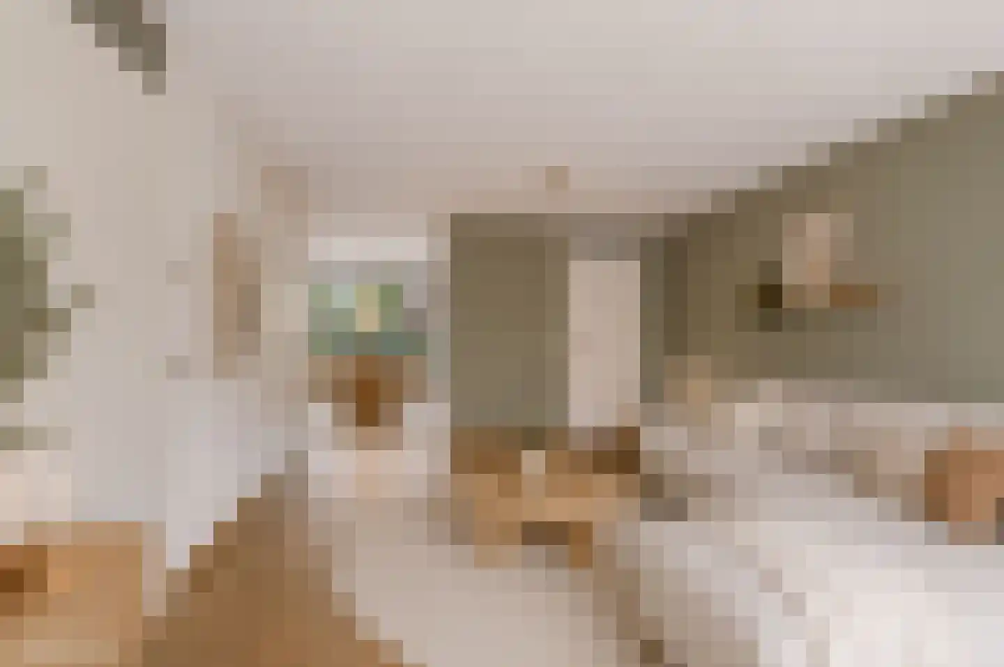 Emmalaan 42 Schijndel thumbnail 8