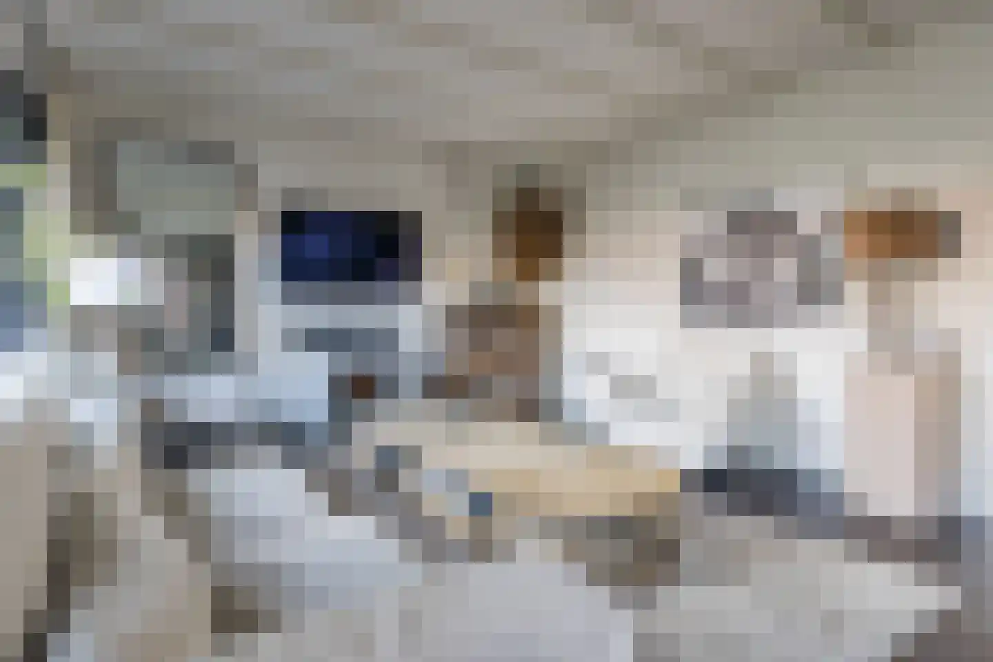 Emmalaan 44 Hoofddorp thumbnail 16