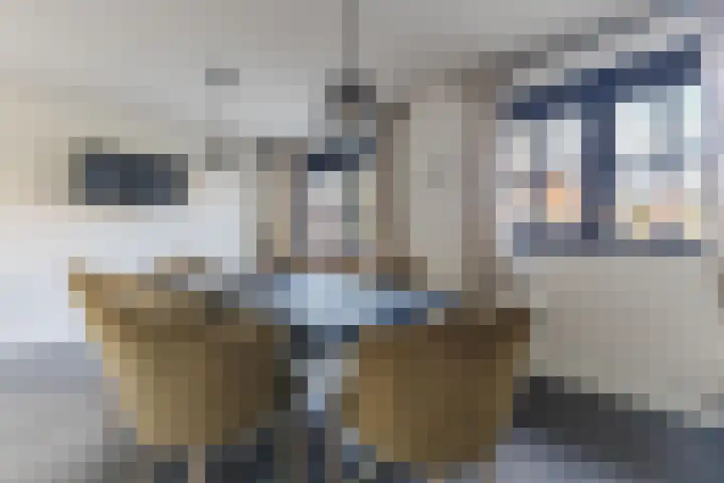 Emmalaan 44 Hoofddorp thumbnail 20