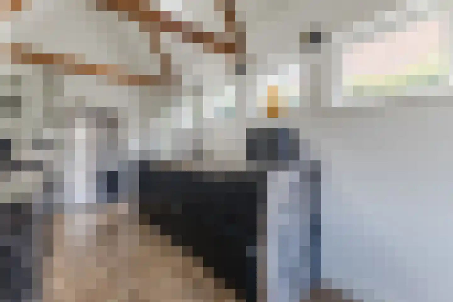 Emmalaan 44 Hoofddorp thumbnail 22
