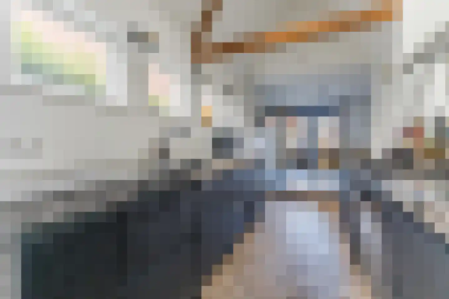 Emmalaan 44 Hoofddorp thumbnail 25