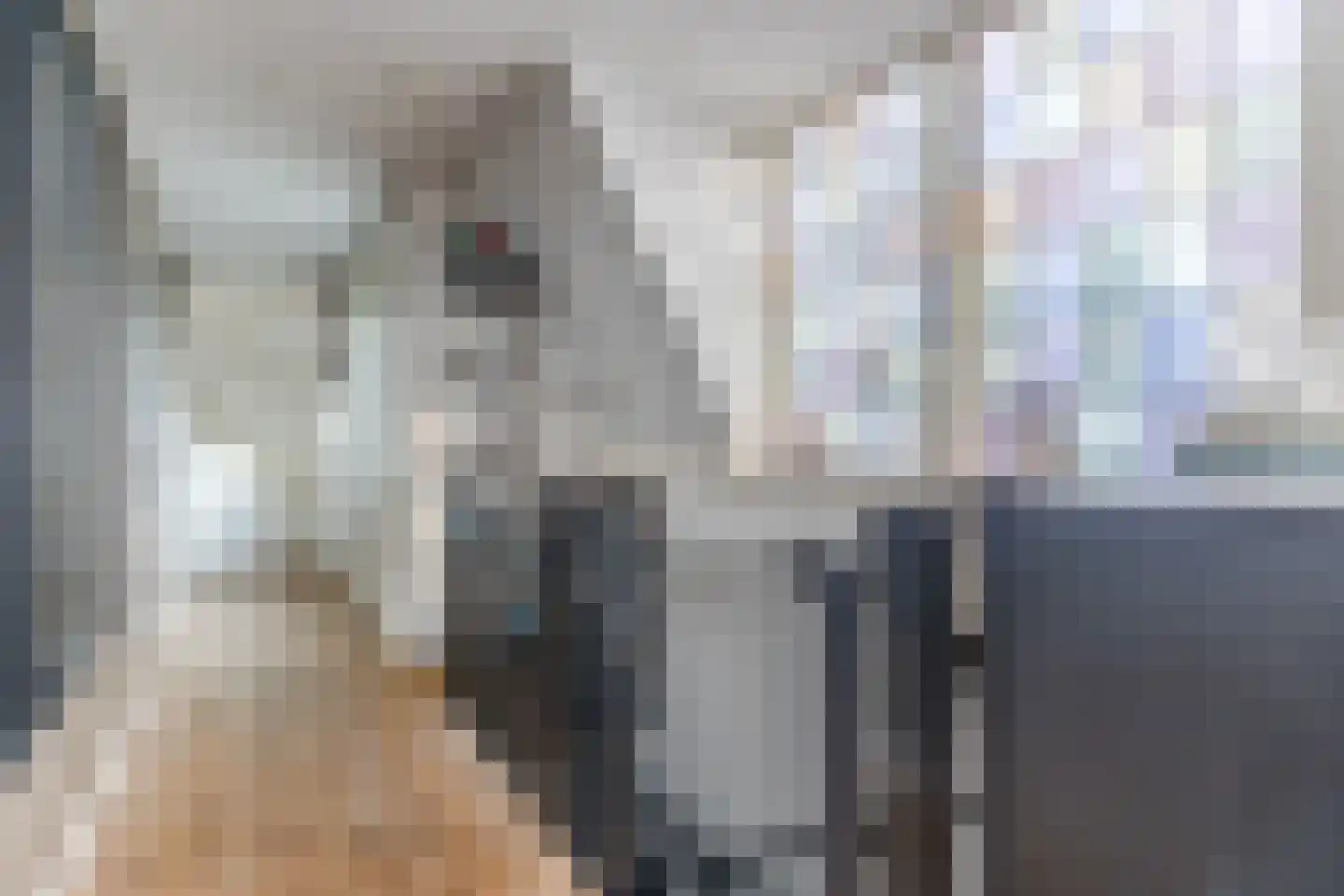 Emmalaan 44 Hoofddorp thumbnail 27