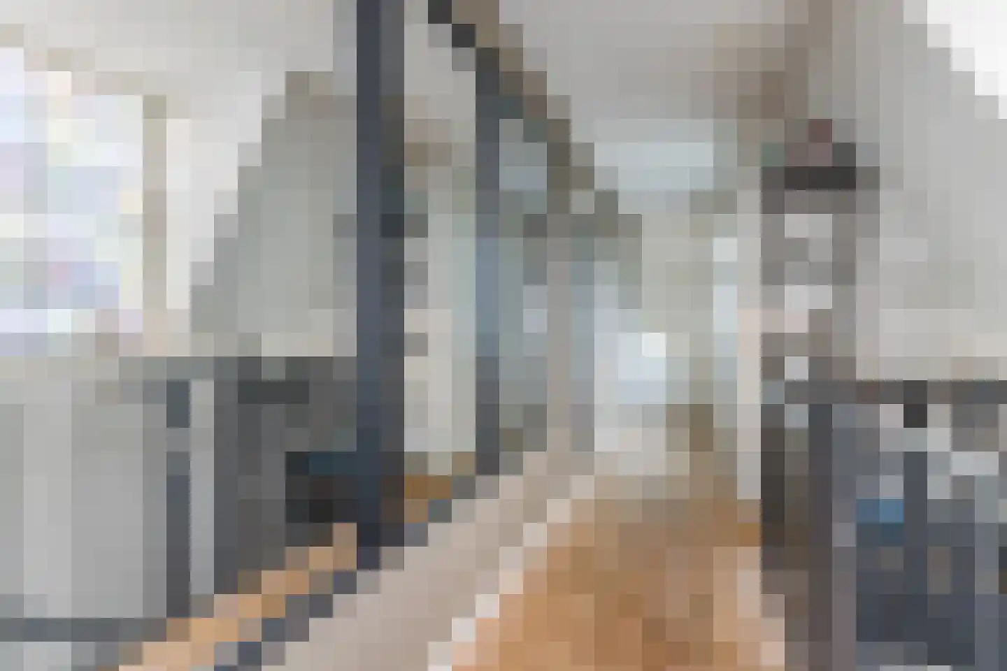 Emmalaan 44 Hoofddorp thumbnail 28