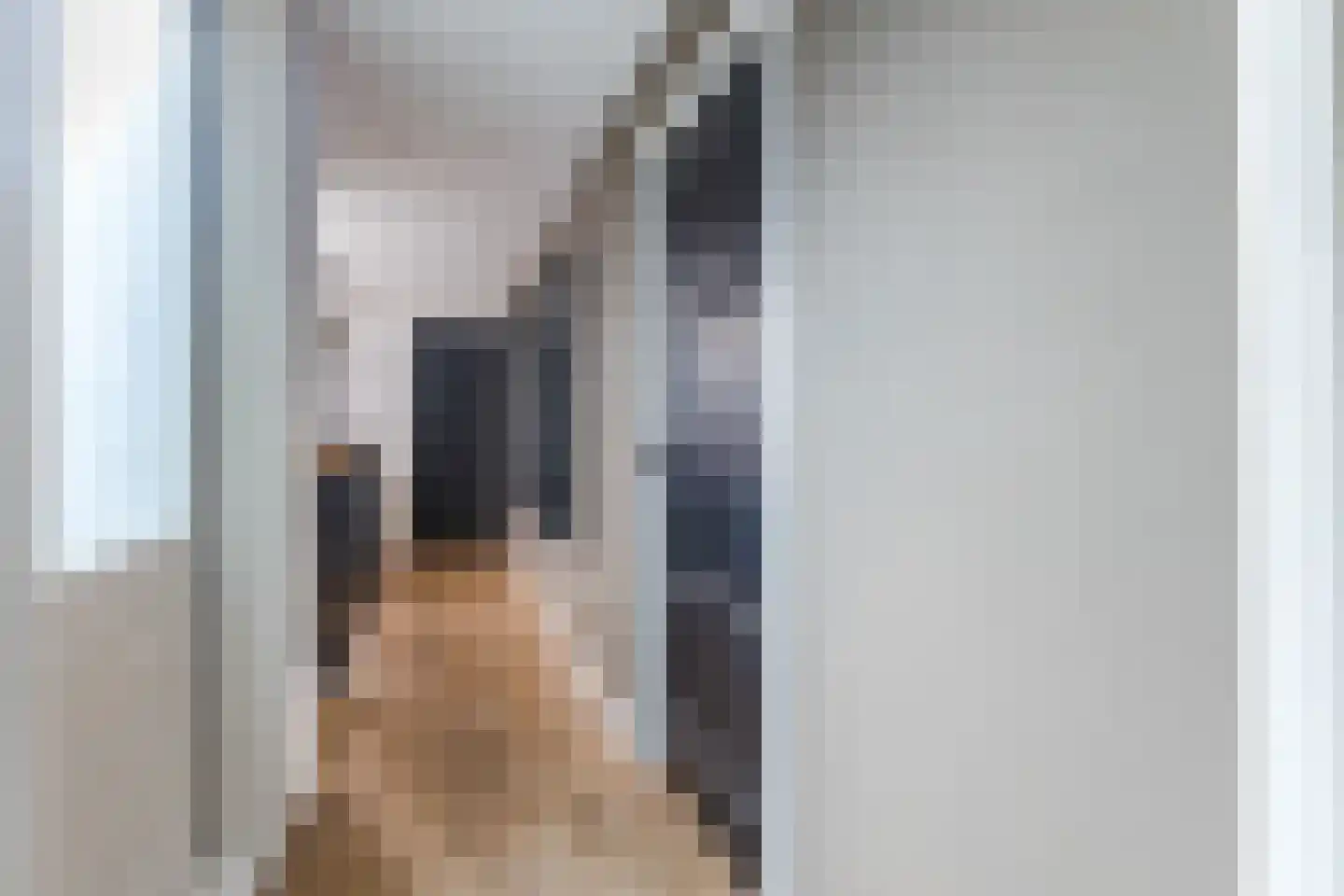 Emmalaan 44 Hoofddorp thumbnail 30