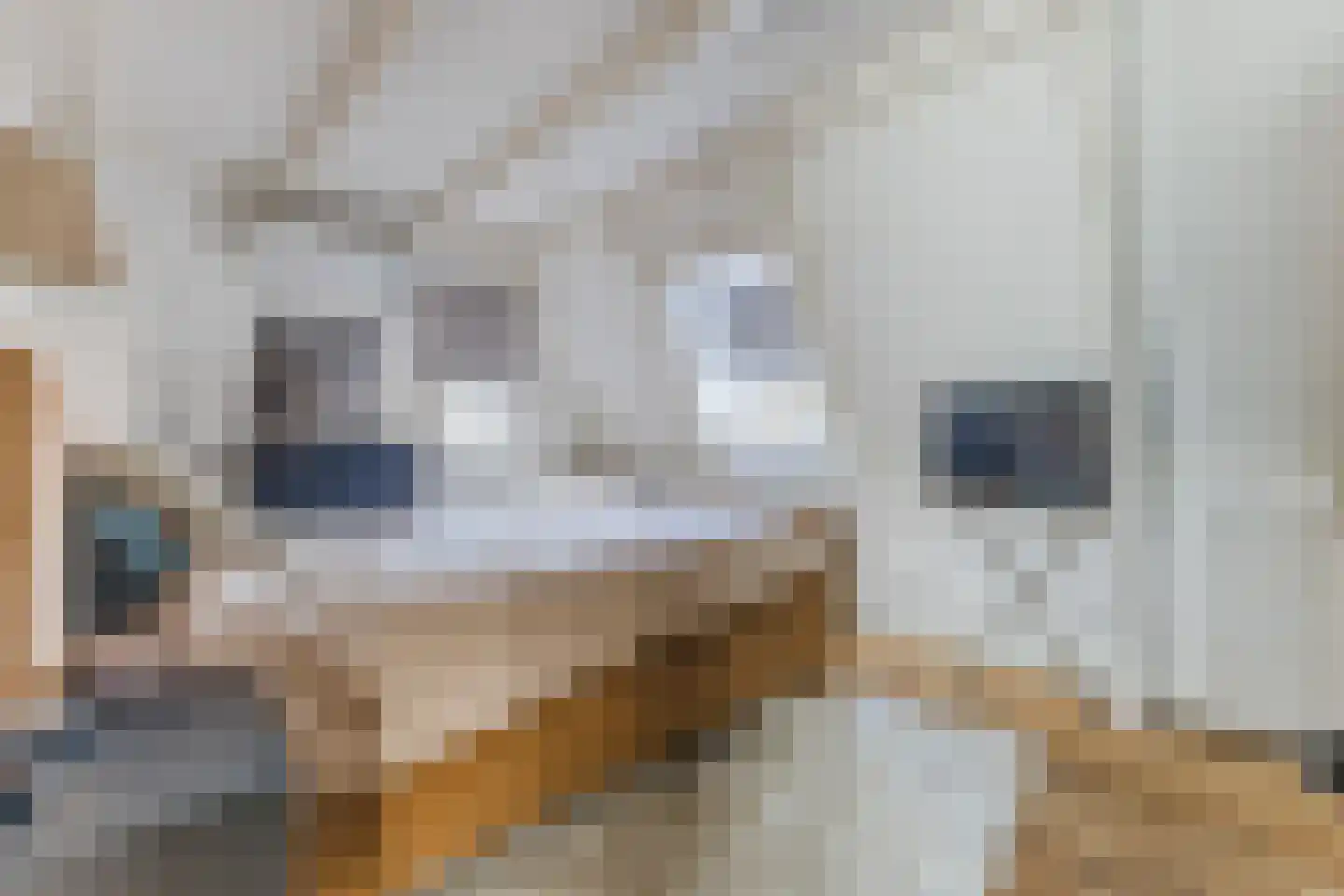 Emmalaan 44 Hoofddorp thumbnail 31