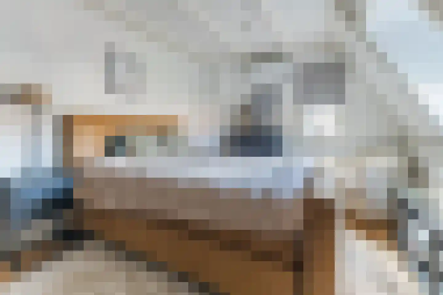 Emmalaan 44 Hoofddorp thumbnail 32