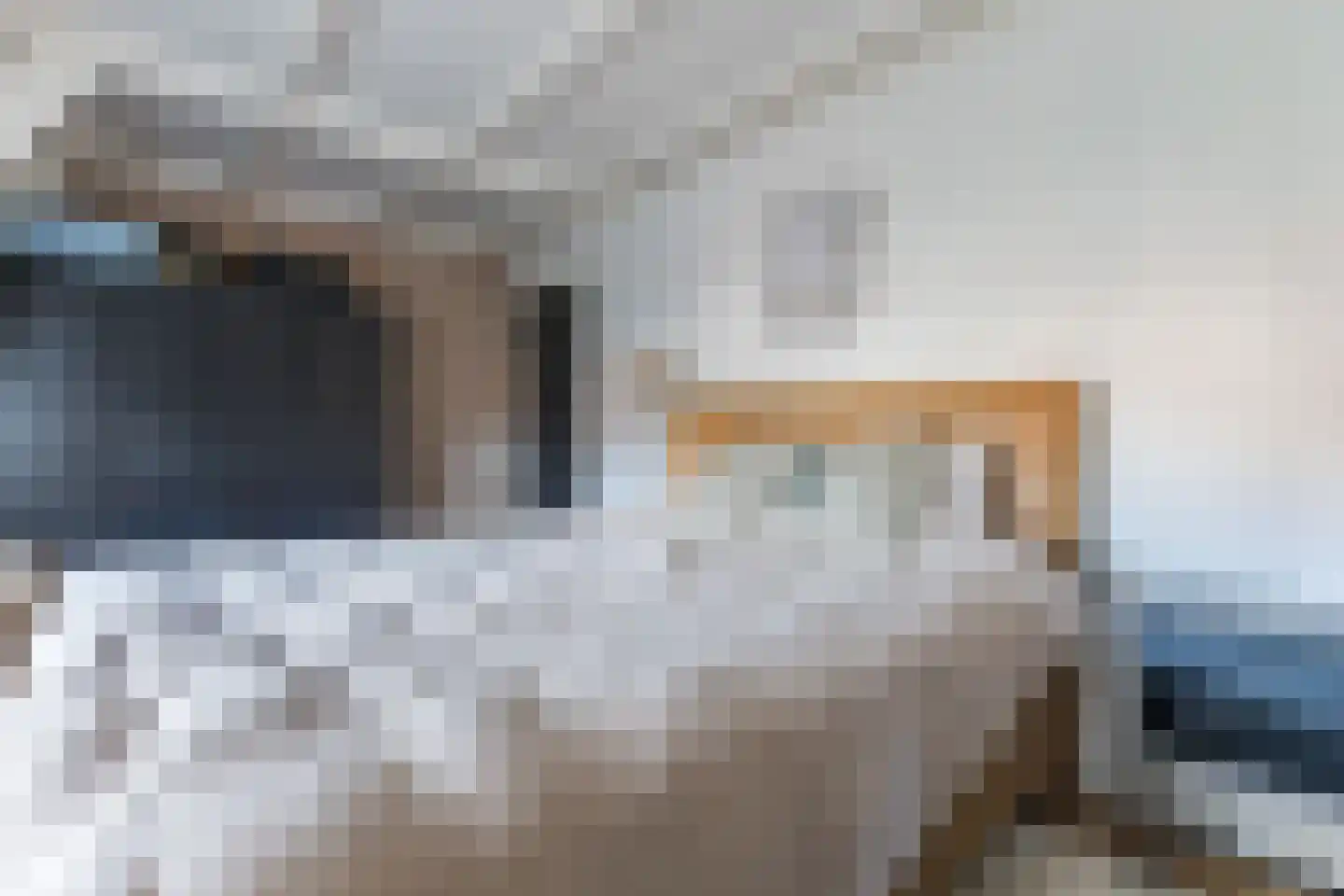 Emmalaan 44 Hoofddorp thumbnail 33