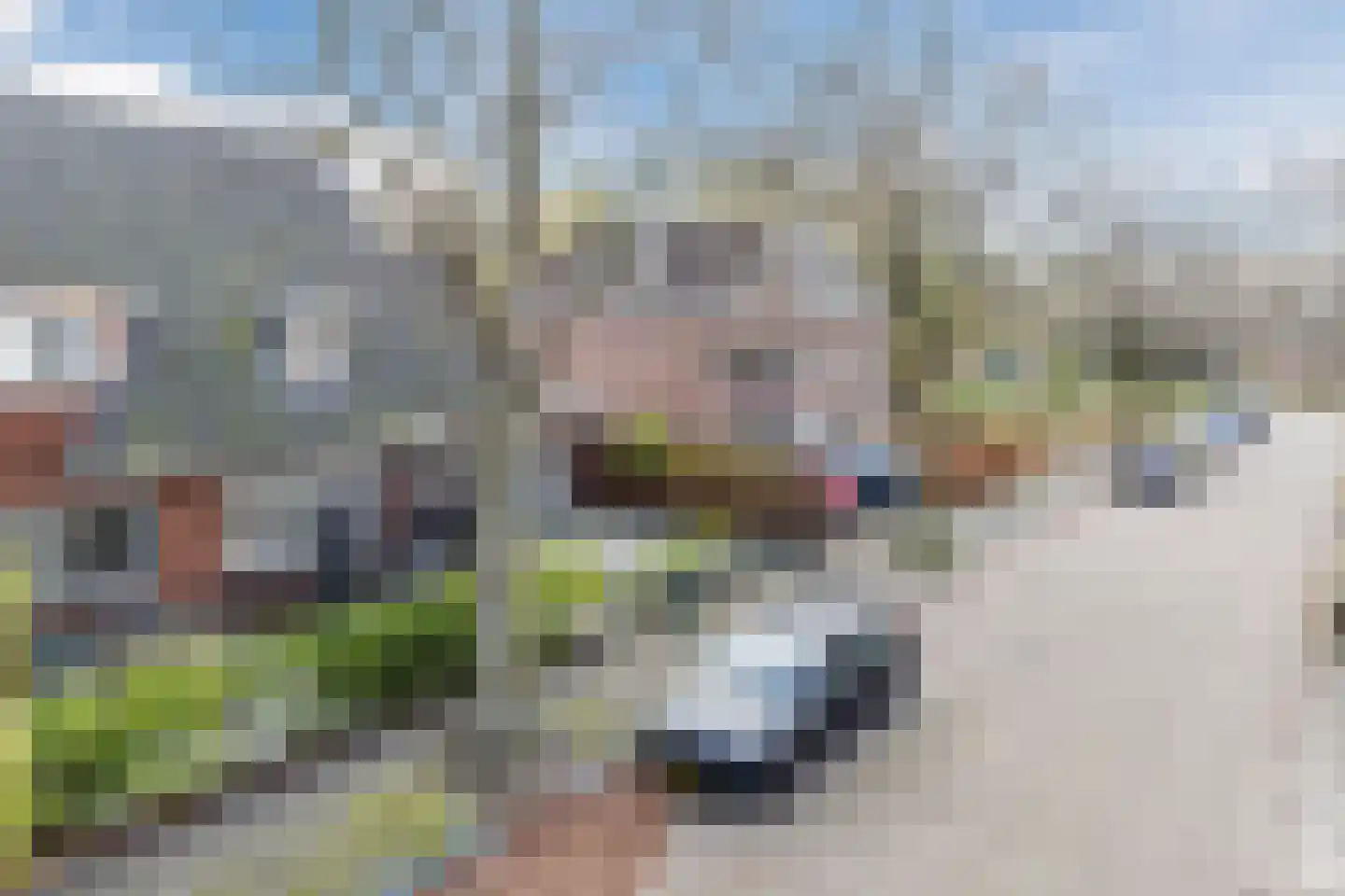 Emmalaan 44 Hoofddorp thumbnail 48