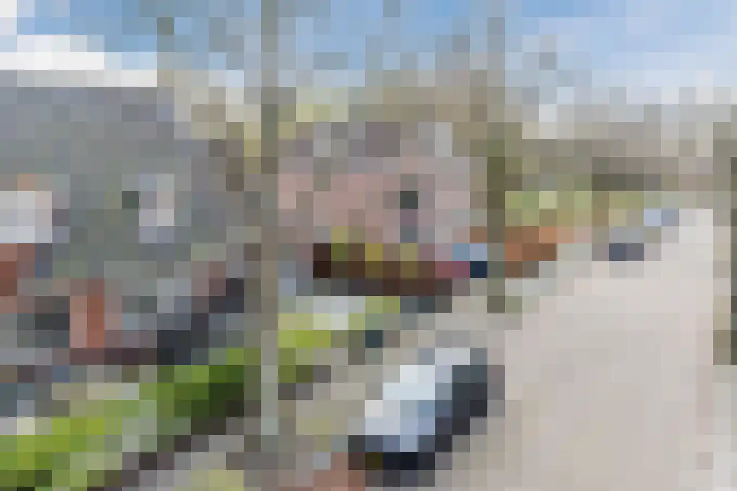 Emmalaan 44 Hoofddorp thumbnail 49