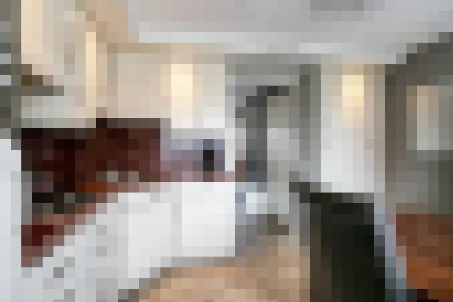 Emmalaan 44 Schijndel thumbnail 11