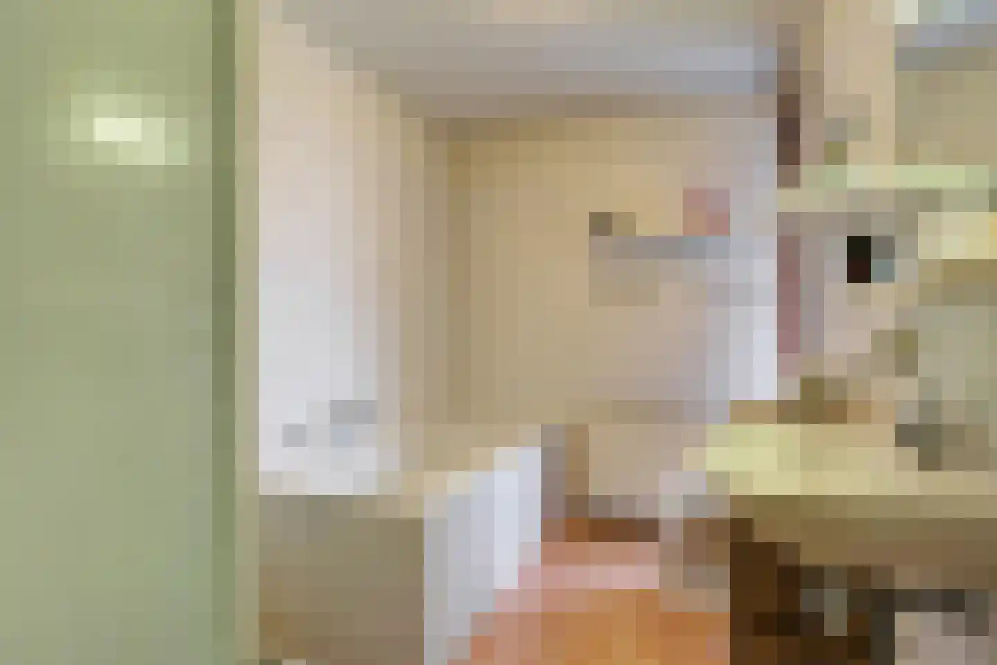 Emmalaan 44 Schijndel thumbnail 22