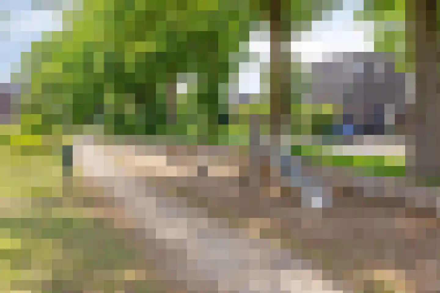 Emmalaan 44 Schijndel thumbnail 33