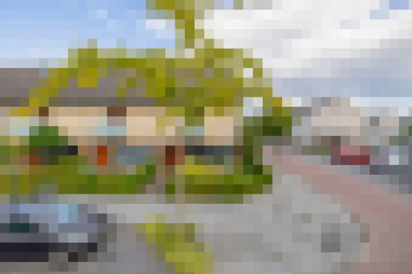 Emmalaan 44 Schijndel thumbnail 39