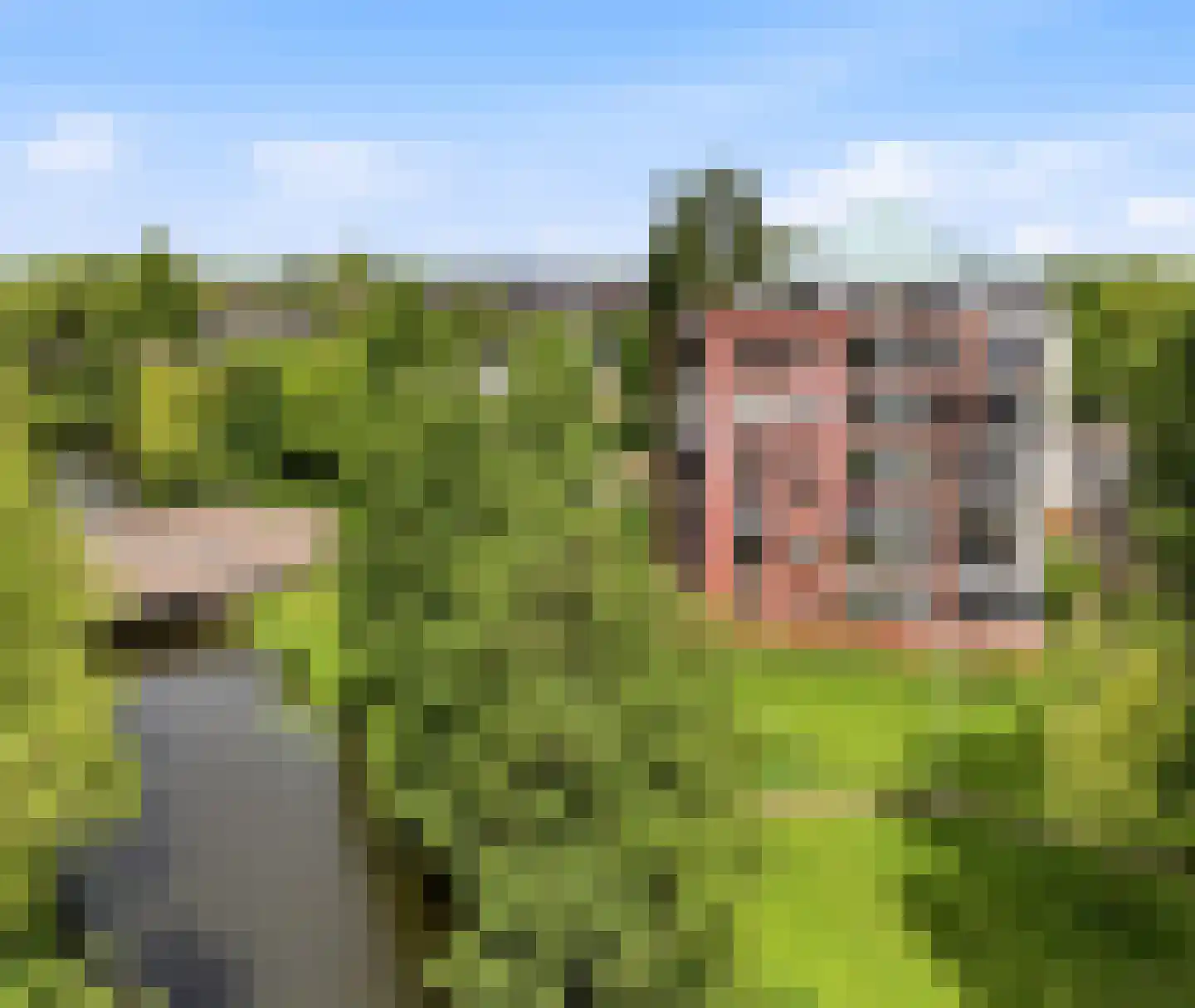 Emmalaan 45 Zutphen thumbnail 33