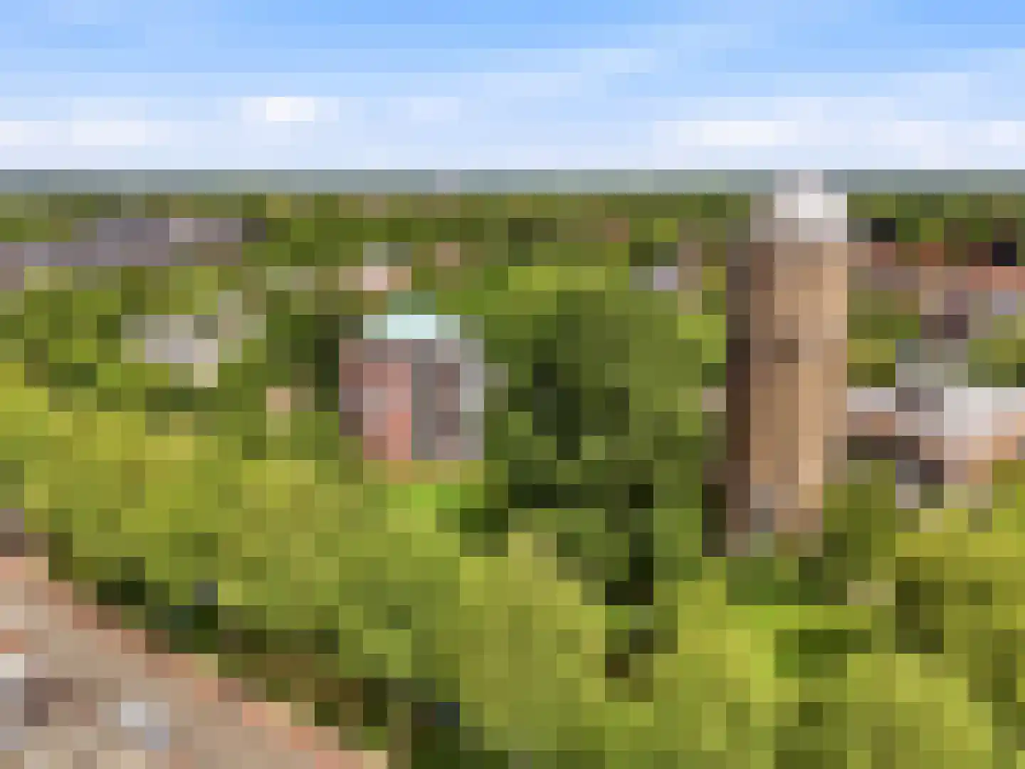 Emmalaan 45 Zutphen thumbnail 36