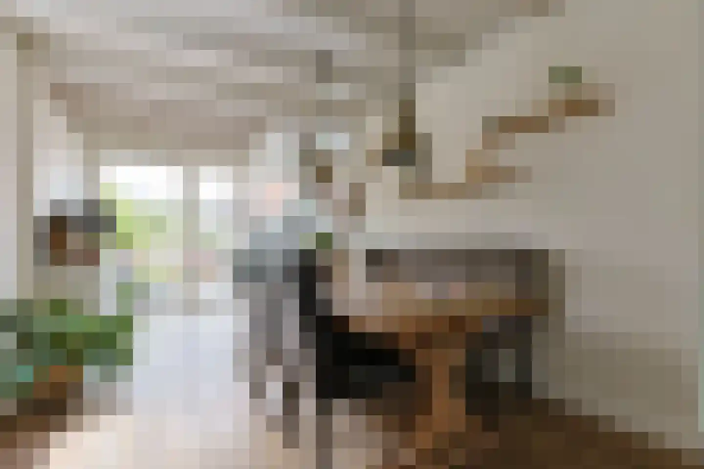 Emmalaan 47 Alphen aan den Rijn thumbnail 14