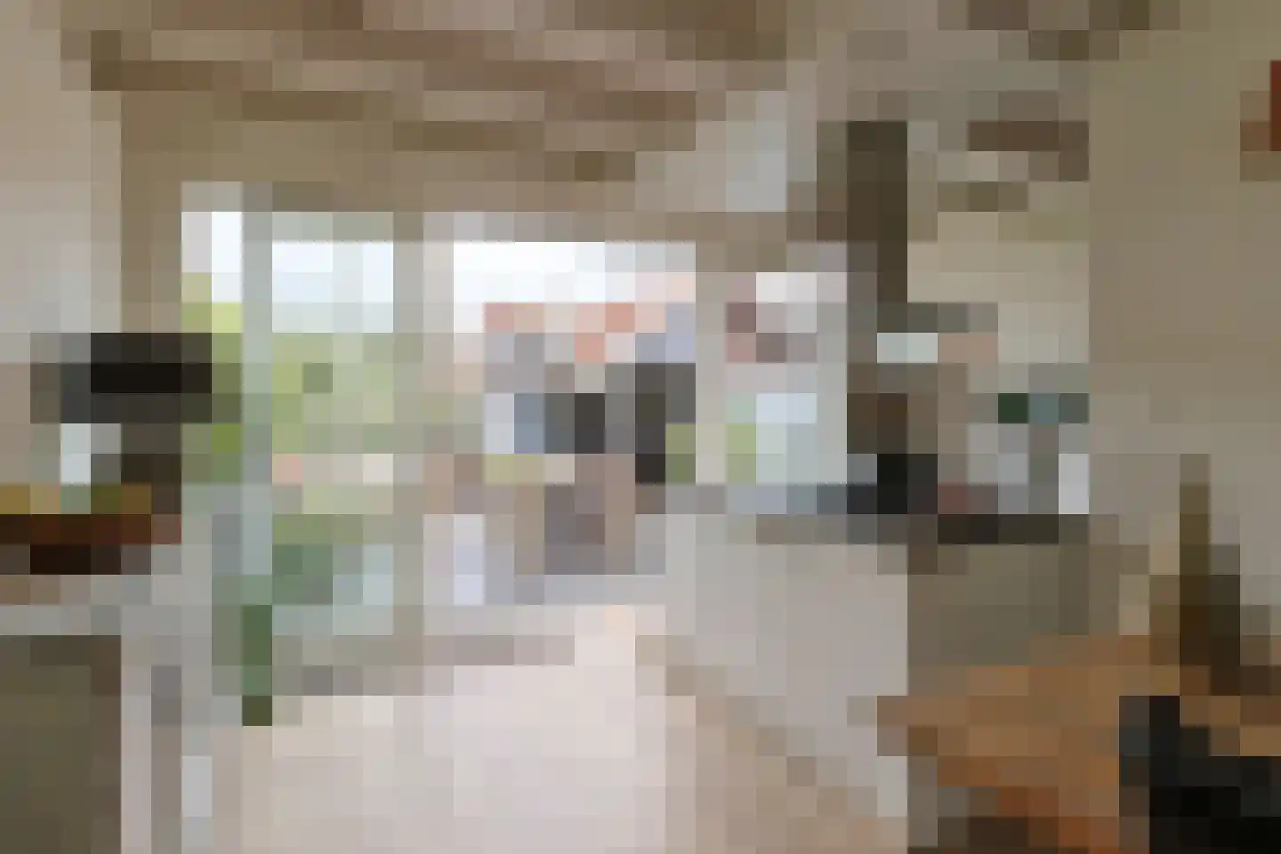 Emmalaan 47 Alphen aan den Rijn thumbnail 18