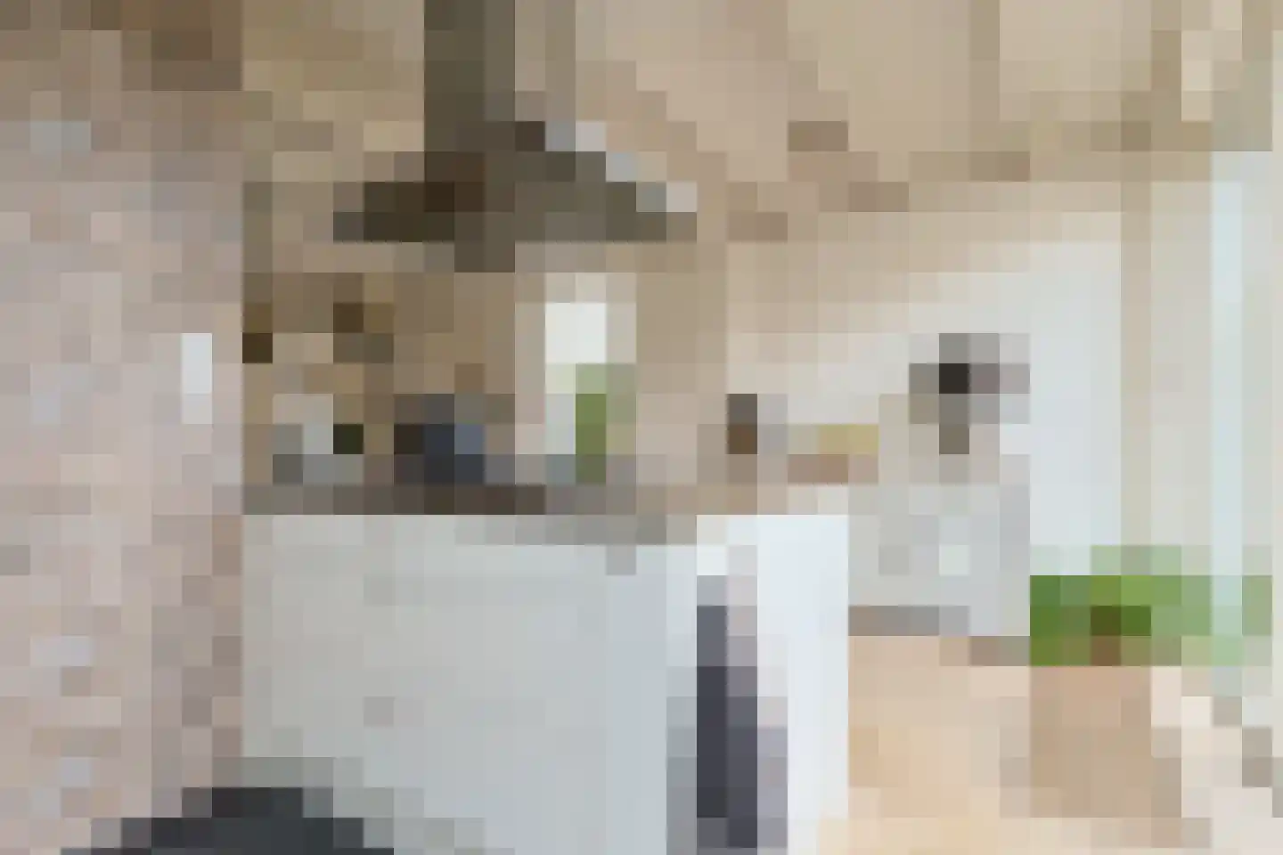 Emmalaan 47 Alphen aan den Rijn thumbnail 21